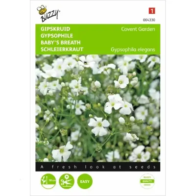 Gypsophila, Gipskruid Covent Garden Gypsophila, Gipskruid Covent Garden