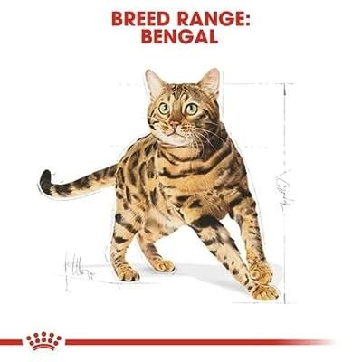 Royal Canin Adult Bengal kattenvoer 2 kg - thumbnail