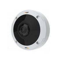 Axis M3058-PLVE IP-camera, binnen en buiten, gevoerd, zwart, wit, 3584 x 2688 pixels – bewakingscamera (IP-beveiligingscamera, binnen en buiten, gevoerd, zwart, wit, beveiligd tegen diefstal)