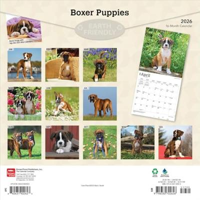 Boxer Puppies Kalender 2026