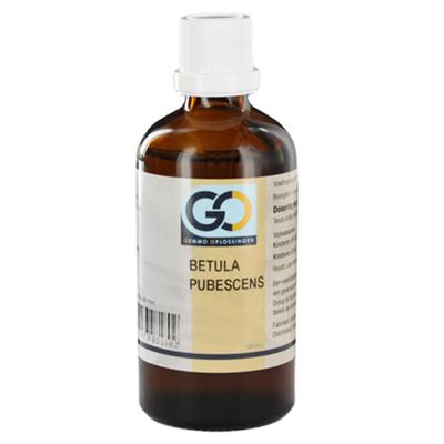 Betula pubescens bio 100 Milliliter