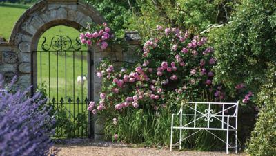 Witte bank 130x70cm Tuinschilderij Customize-it - Customize it