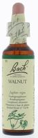 Bach Flower Remedies Walnoot 33 - thumbnail