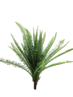 UV Fern Torres Sunrise 60cm Erutan Avon - Erutan avon - thumbnail