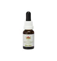 Australian Bush She oak 15 Milliliter - thumbnail