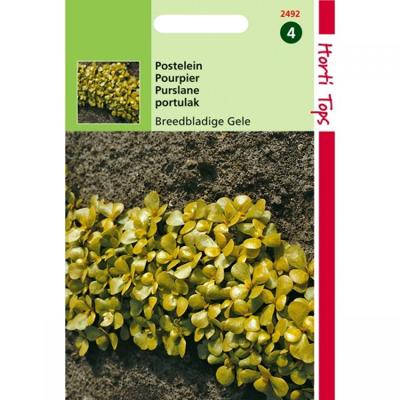 Zaden Postelein Breedbladige Gele Hortitops - Hortitops Zaden Postelein Breedbladige Gele Hortitops - Hortitops
