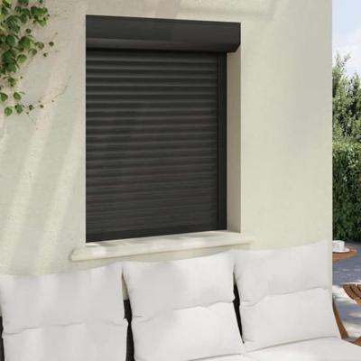 VidaXL Rolluik 80x100 cm aluminium antracietkleurig