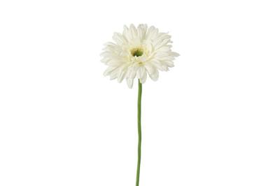 Decostar zijdebloem gerbera leanne 60 cm wit