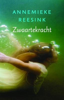 Zwaartekracht - Annemieke Reesink - ebook