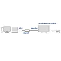 ACT USB-C naar Displayport 4K adapter - thumbnail