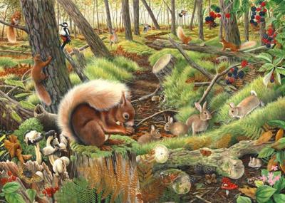 Save our Squirrels Puzzel 1000 Stukjes