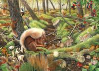Save our Squirrels Puzzel 1000 Stukjes - thumbnail
