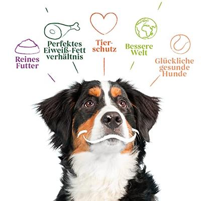 YARRAH DOG BIOLOGISCHE BROKKEN KIP 10 KG