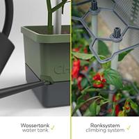 Gusta Garden - Charly Chili - Chiliplanter met watertank - thumbnail