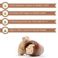 VERSELE-LAGA CRISPY MUESLI HAMSTER 1 KG - thumbnail