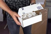 Raadhuis RD-351119-5 Postpakketdoos 2 200x140x80mm Bedrukt 5 Stuks - thumbnail