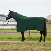 VidaXL Paardendeken volledig donkergroen polyester - thumbnail