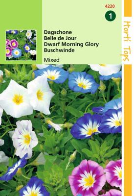 Zaden Convolvulus Dagschone gemengd Hortitops - Hortitops