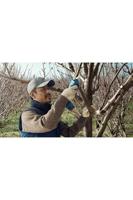 BOSCH PROFESSIONELE snoeischaar - GGP 12V-25 - Zonder accessoires - thumbnail