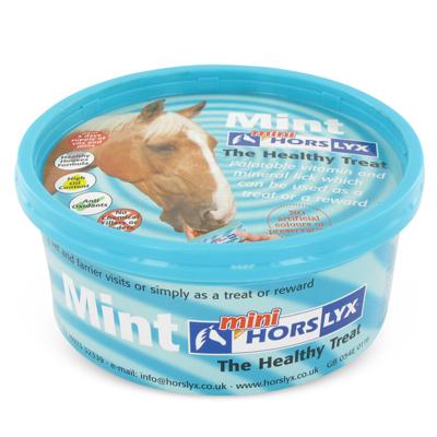 Horslyx Mini Mint
