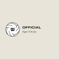 WILSON PRO TOUR VB MULTICOLOR VOLEYBALL - thumbnail