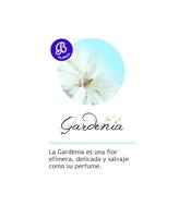 Geurolie Brumas de ambiente 50 ml Gardenia Boles d'olor - Boles d olor - thumbnail
