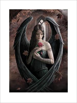 Kunstdruk Anne Stokes - Angel Rose 60x80cm
