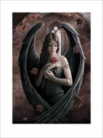 Kunstdruk Anne Stokes - Angel Rose 60x80cm - thumbnail