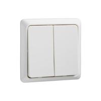 ELSO dubbele drukknop 506394 42V/1A AP vlak RENOVATIE rw 10 stuk(s) - thumbnail