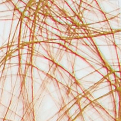 Vaessen Creative • sizoweb 60cmx25m brons