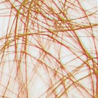 Vaessen Creative • sizoweb 60cmx25m brons - thumbnail