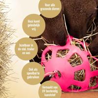 Hay Slowfeeder fun and flex 22 cm Roze Bal - thumbnail