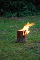 Zweedse Fakkel 25cm - thumbnail