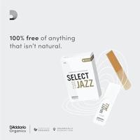 D&apos;Addario Woodwinds ORSF03SSX2H Organic Select Jazz Sopraansaxofoonriet, 2 hard, 3-pack - thumbnail