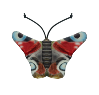 Wild Life Cat Peacock Butterfly (Dagpauwoog) - thumbnail
