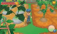 Harvest Moon 3D a New Beginning - thumbnail