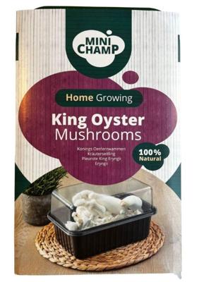 Koningsoesterzwam 3l JUB - Jub