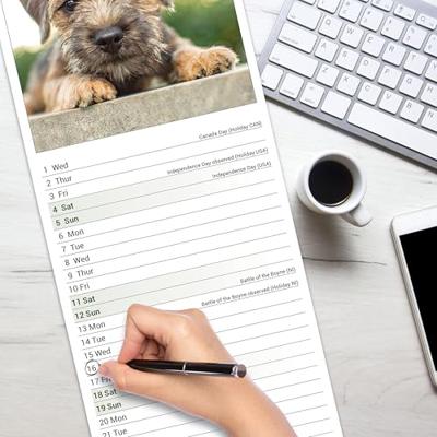 Border Terrier Kalender 2026 Slimline Border Terrier Kalender 2026 Slimline