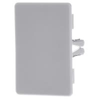 OBO Bettermann 6183735 Eindstuk (b x h) 40 mm x 60 mm Lichtgrijs 10 stuk(s) - thumbnail