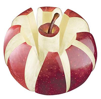 Appelsnijder Tescoma Presto Rood Groen Roestvrij staal Plastic