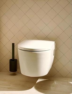 Hansgrohe Closetborstelgarnituur WallStoris Mat Zwart