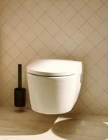 Hansgrohe Closetborstelgarnituur WallStoris Mat Zwart - thumbnail