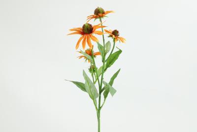 Decostar Countryfield Kunstbloem Echinacea oranje-L5B20H70CM Decostar Countryfield Kunstbloem Echinacea oranje-L5B20H70CM