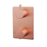 Caral afbouwdeel inbouwthermostaat 2 weg geborsteld koper - thumbnail