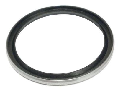 DT Swiss Seal Hub/Freehub Body RW-Hub DT from 1998