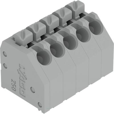 WAGO 250-205/000-024 Printplaatklem 240 stuk(s)