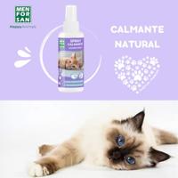 Verzachtende Crème Menforsan 60 ml - thumbnail