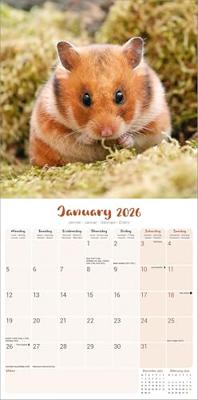 Hamster Kalender 2026