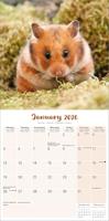 Hamster Kalender 2026 - thumbnail
