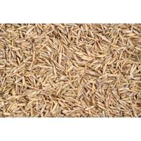 Wolf Garten Gazon sport&spel LG 125 - 3825020 - thumbnail